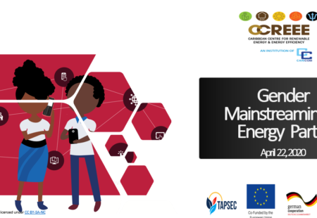 CCREEE Confronts Gender Challenges in the Energy Sector