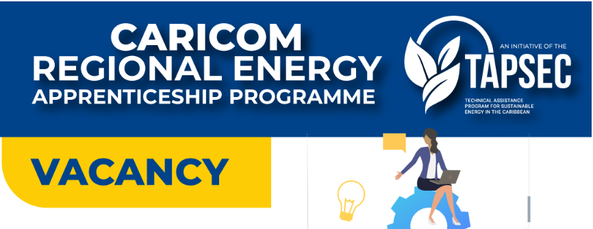 Regional Energy Apprenticeship Programme