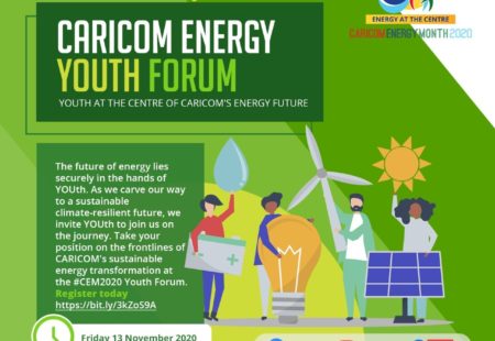 Youth Take Centre Stage During CARICOM Energy Month