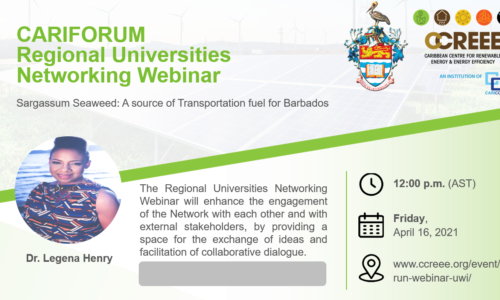 RUN Webinar: Sargassum Seaweed