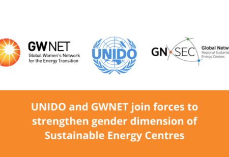 UNIDO and GWNET join forces to strengthen the gender dimension of regional sustainable energy centres