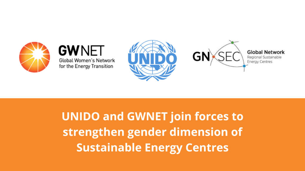 UNIDO and GWNET join forces to strengthen the gender dimension of regional sustainable energy centres