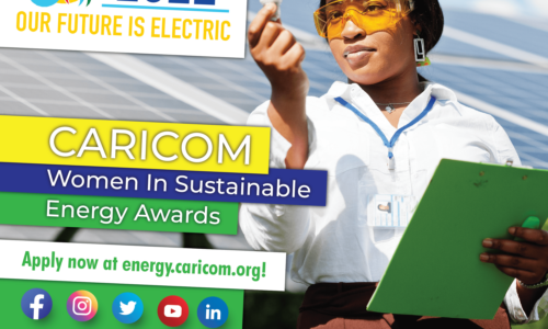 W.I.S.E (Women In Sustainable Energy) Awards