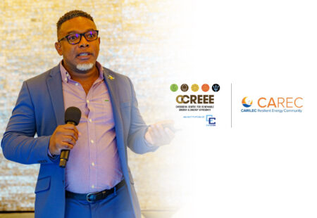 Democratizing the Caribbean Energy Sector through the Utility-centric Promotion of Distributed Energy Resources