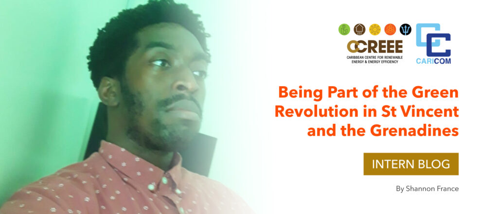 Being Part of the Green Revolution in St Vincent and the Grenadines