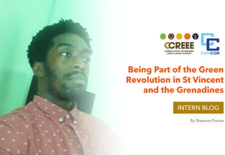 Being Part of the Green Revolution in St Vincent and the Grenadines