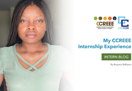  My CCREEE Internship Experience