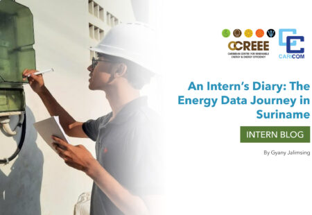 An Intern’s Diary: The Energy Data Journey in Suriname