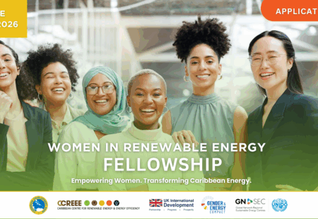 Woman In Renewable Energy Fellowship 2026